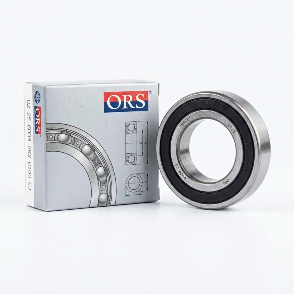 6006 2RS Rulman ORS